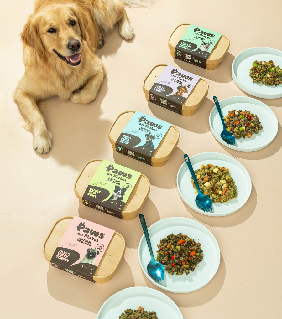 <p>Two FREE meals.<br/>One <em>lucky pup</em>.</p>